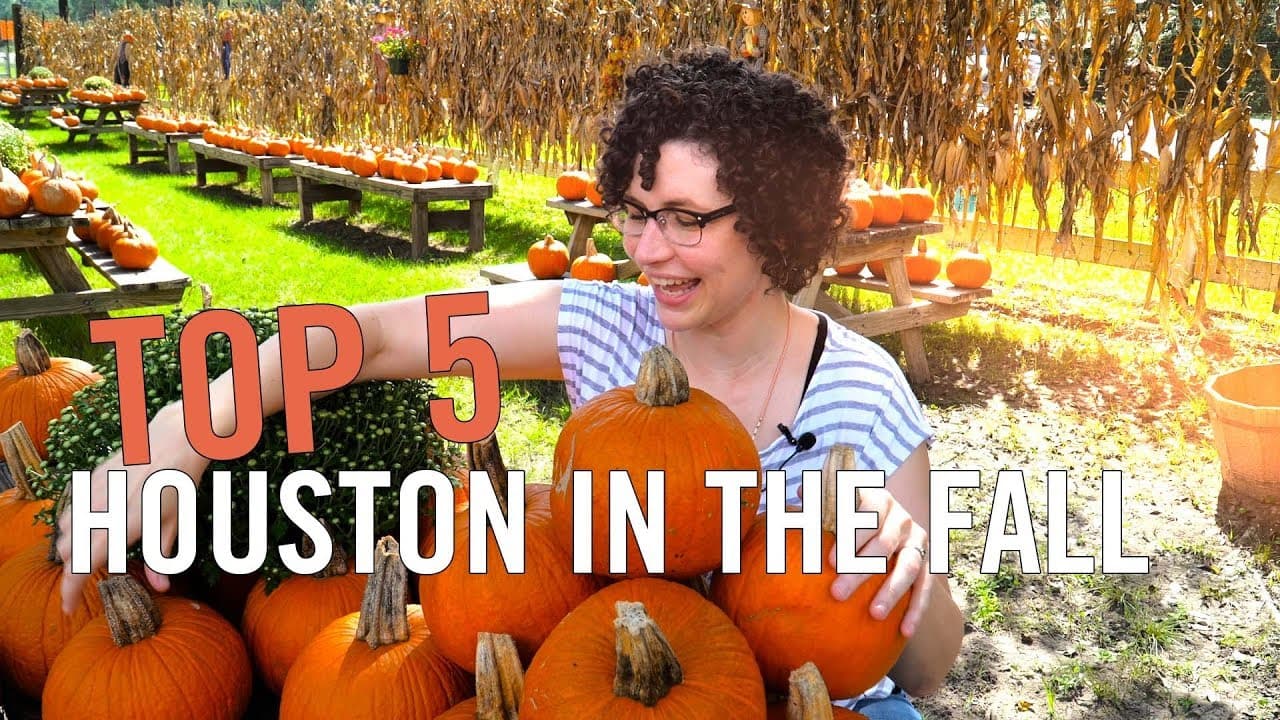 Top Fall Things To Do in Houston in the Fall – KSBJ Afternoon Show